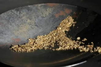 Uma imagem de Ouro no Rio Indo, com seu brilho característico.